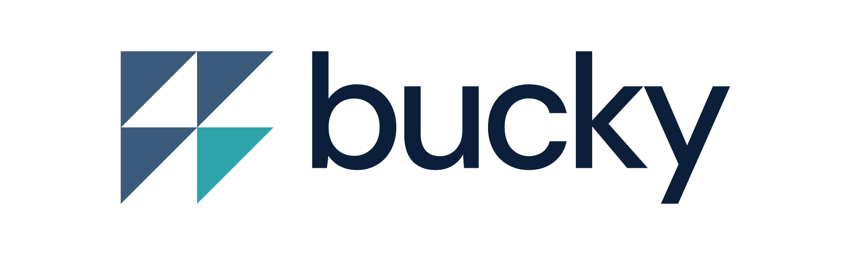 Bucky Solutions Wordmark